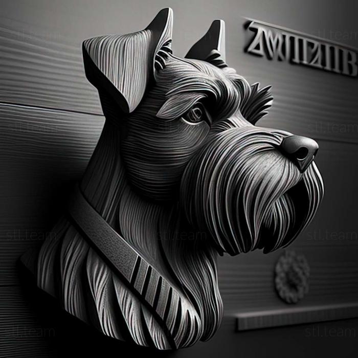 Animals Zwergschnauzer dog